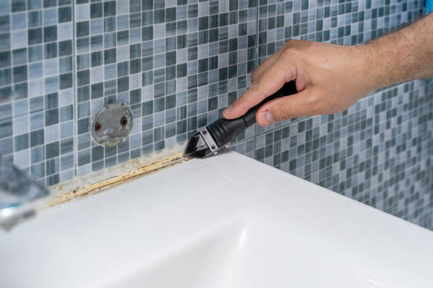 Best Mold Remediation for Specific Building Types in Belgium, WI