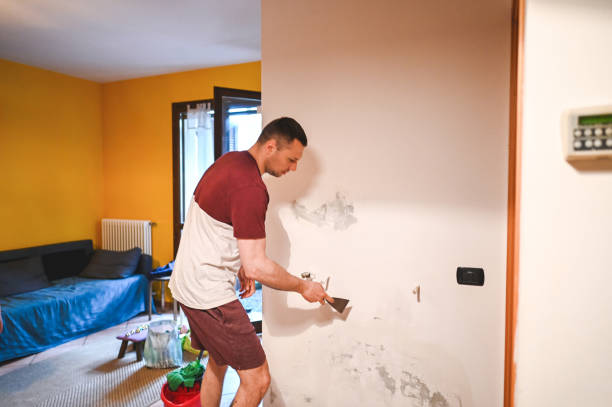 Best Insurance-Related Mold Remediation in Belgium, WI
